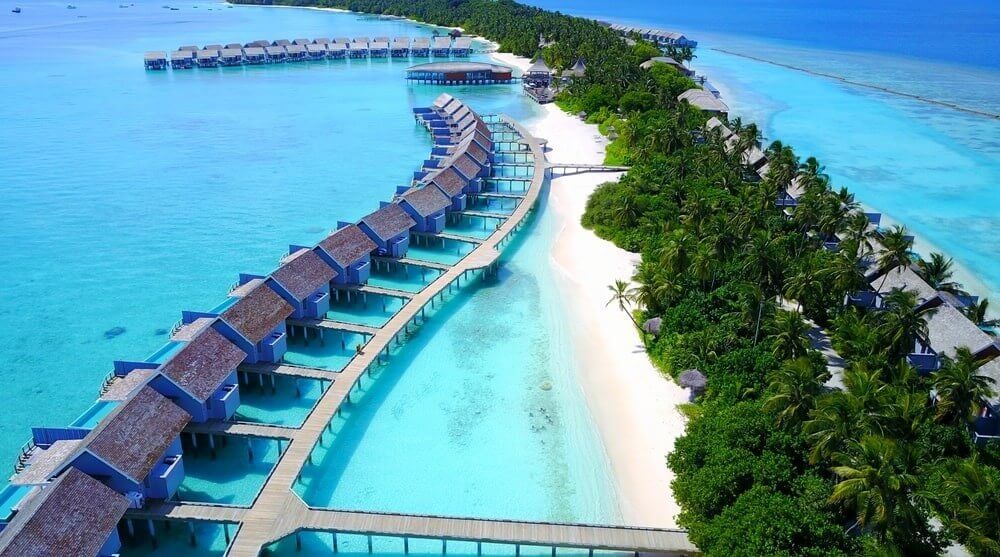 To maldives riyadh Flights from